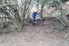 Ashmead24